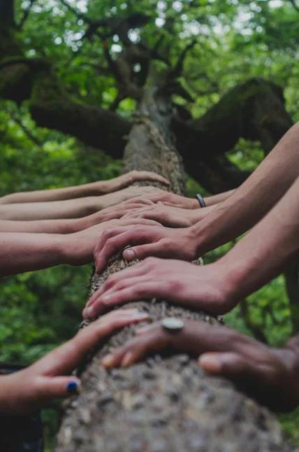 hands on a tree/wellness/community