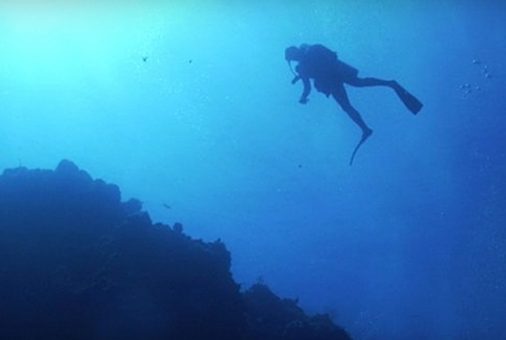 Scuba Diving(Open water)